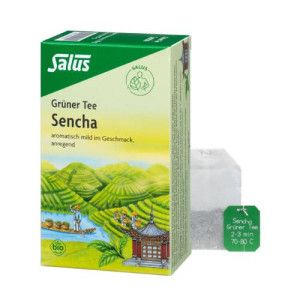 GRÜNER TEE Bio Salus Filterbeutel